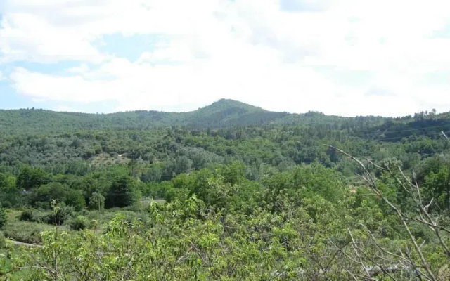 Finca La Suerte