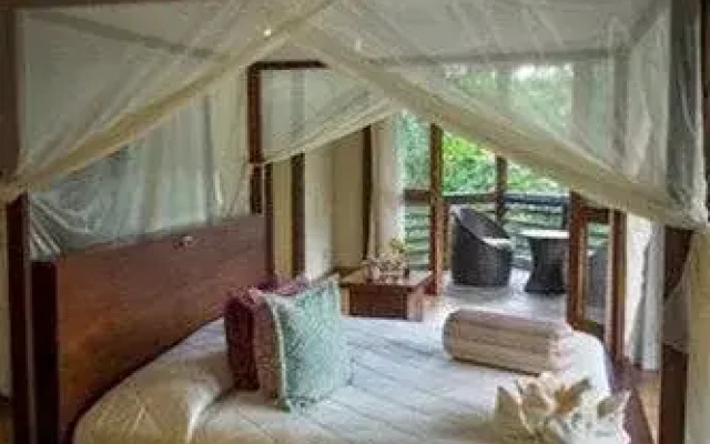 La Selva Amazon Ecolodge and Spa