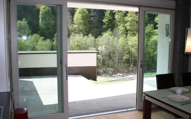 Apartment in the ski Area