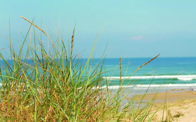 Cozy Mobile Home Located in Some Beautiful Dune Surroundings
