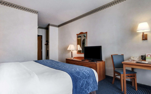 Comfort Suites University