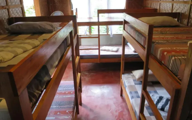 Lazy Lizard Hostel