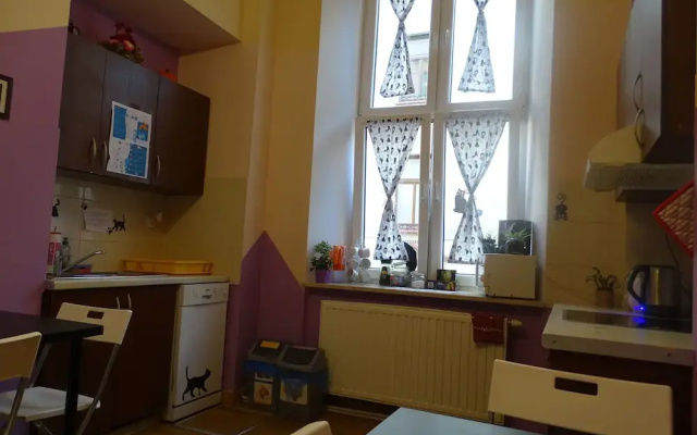 Cat Hostel Krakow