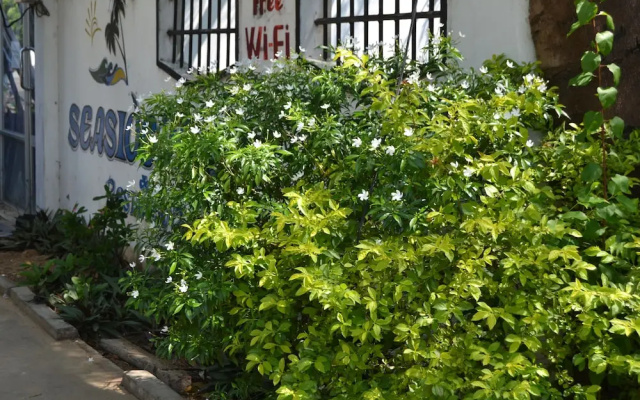 Arugambay Seaside Villa