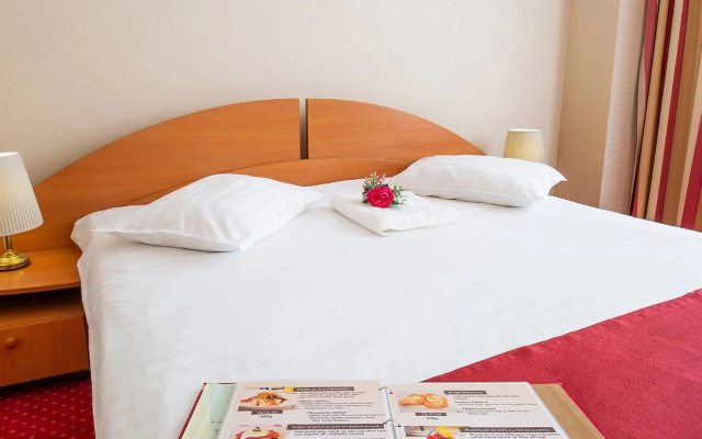 Hotel Dana