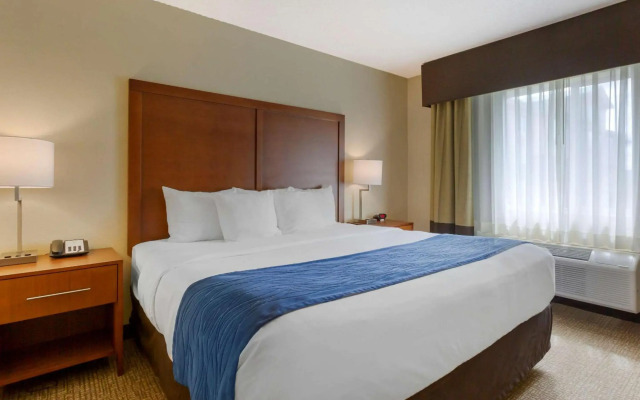 Comfort Inn South
