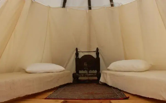 Tipis des Oliviers