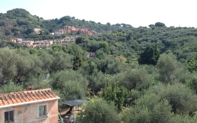 Baia di San Terenzo