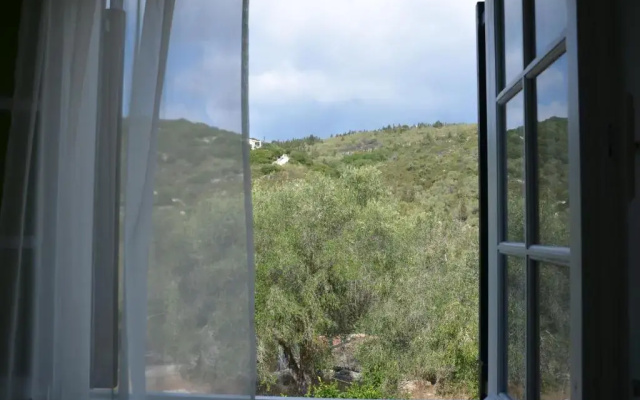 Villa Clementine