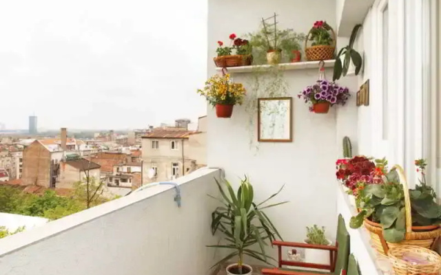 One Bedroom Apartment City Light