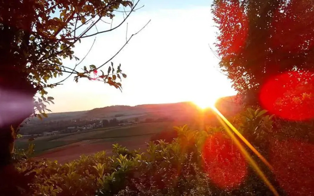 Les Sens des Bois