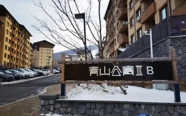 Vanke Songhua Lake Qingshan Cooked Snow Homestay