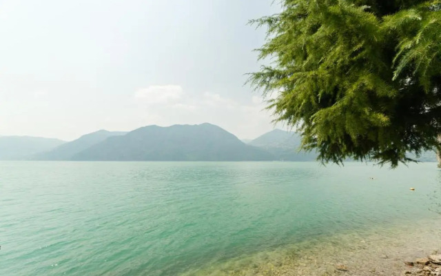 Nest on The Lake