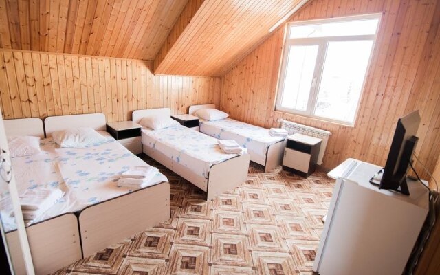 Alyona Hotel комната для гостей
