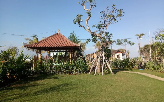 Emir surfcamp