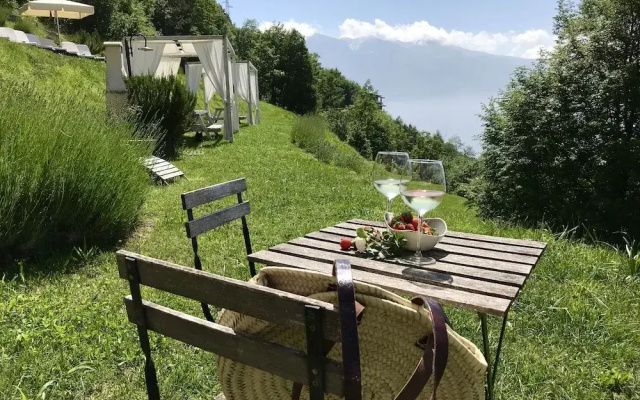 Borgo le Vigne - La Vinaccia