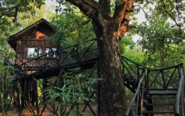 Tree House Hideway Bandhavgarh
