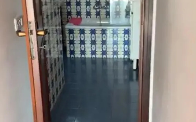 Bellissima Cervo