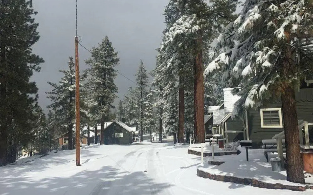 Lily Bear Resort Cal - Pines Chalets
