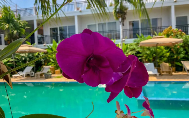 Malis Coconut Resort
