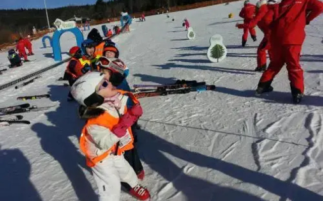 Myši V Botě Lipno