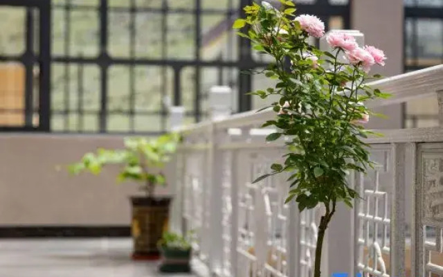 Yichuan Fengjing Homestay