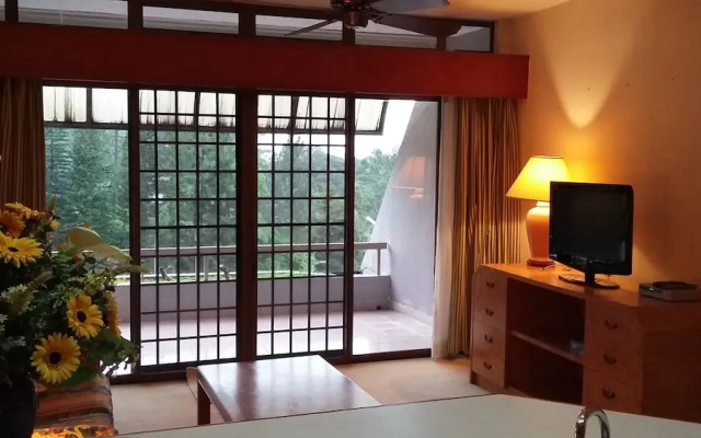 MV Apartment