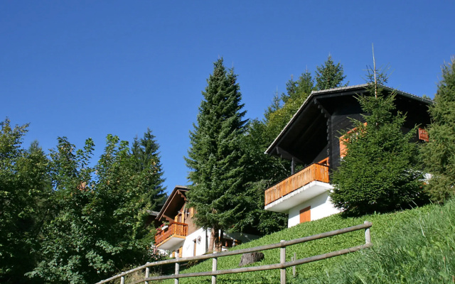 Chalet 1005