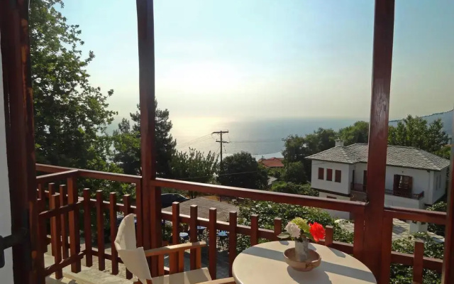 Hotel Vrionis