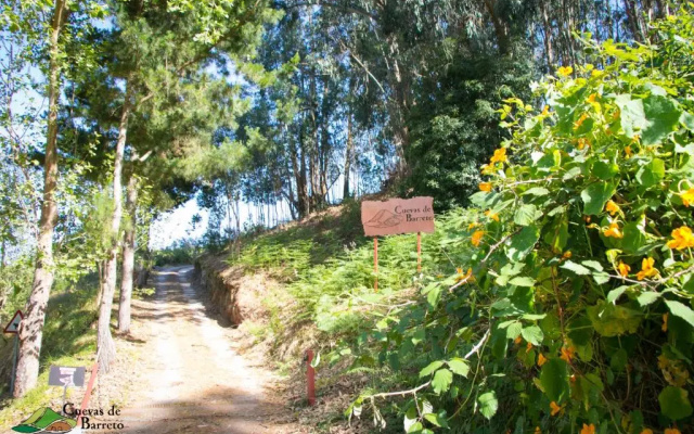 Cuevas De Barreto