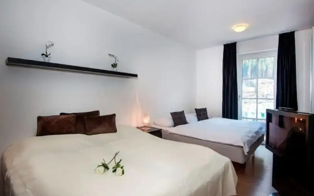 Penthouse in Bad Gastein Near Ski Lifts
