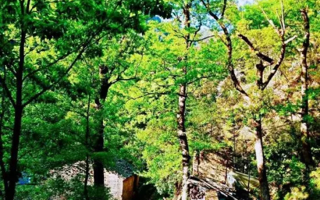 Xinchang Shangshitang Tianmu Mountain Residence
