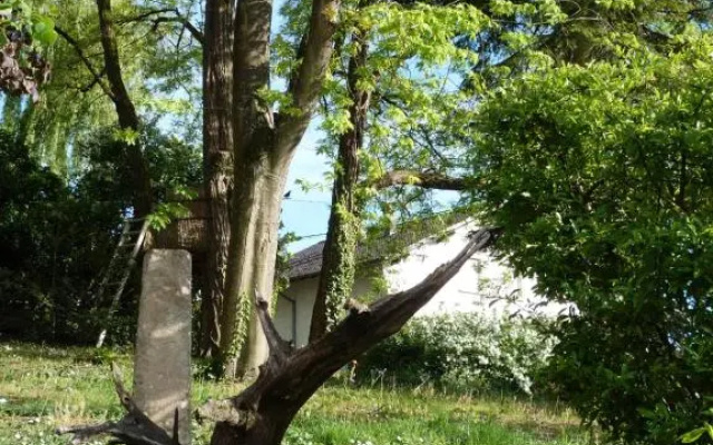 Gîte d'Maïsala Les Mésanges