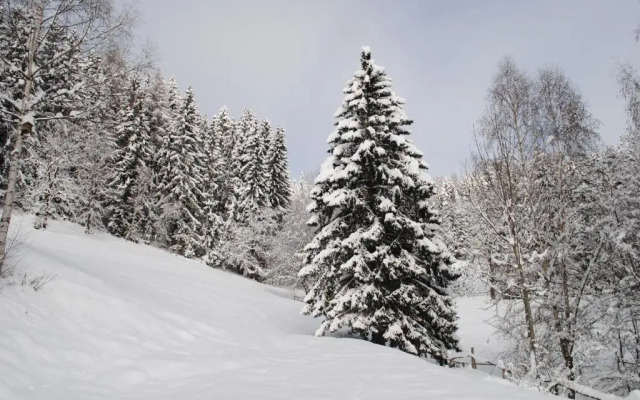 Schlintl-Hof