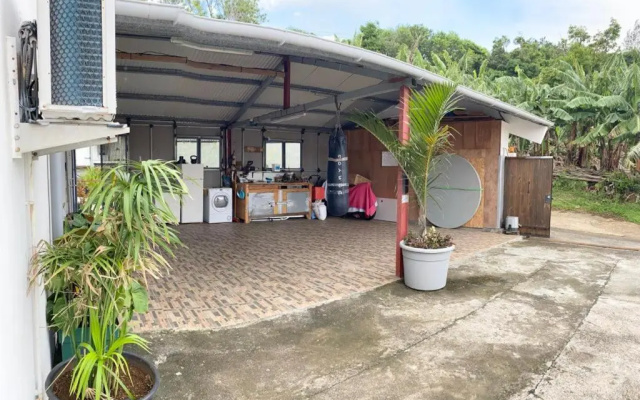 Les Tourterelles
