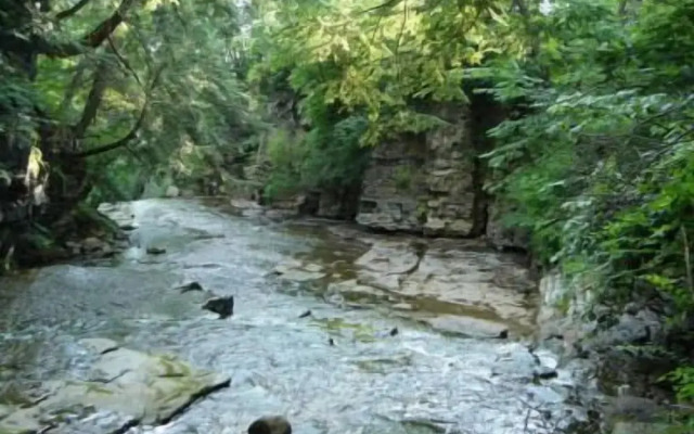 CliffSide by The Falls