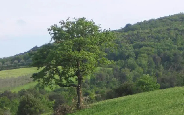 Villa Righino
