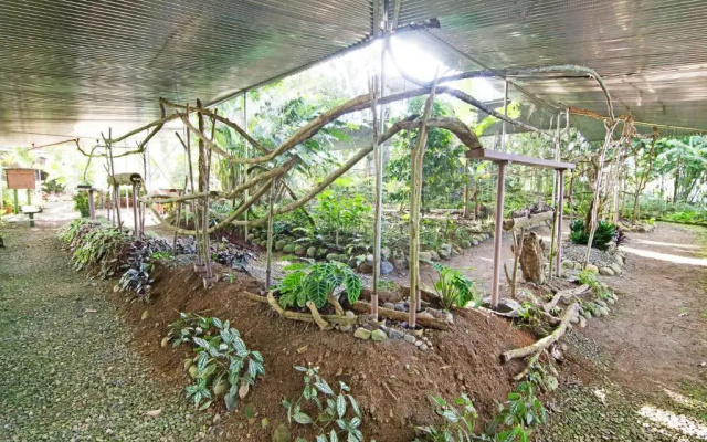 Hostel Islas del Río