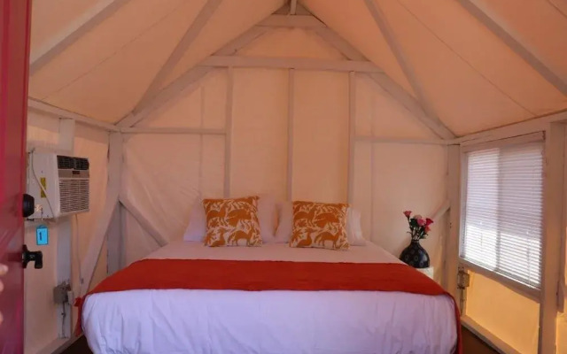 Camp Coyoacan