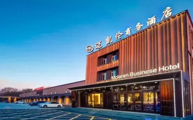 Harbin Airport McLaren Hotel (Airport T2 Terminal)