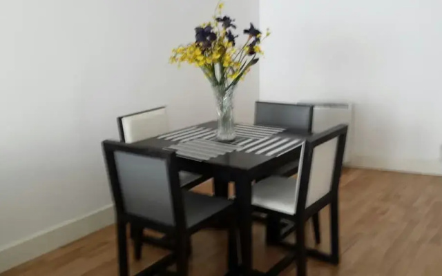Quay Apartment Limerick