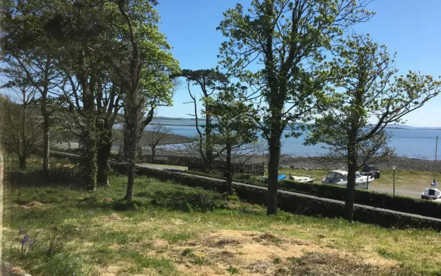 The Hide