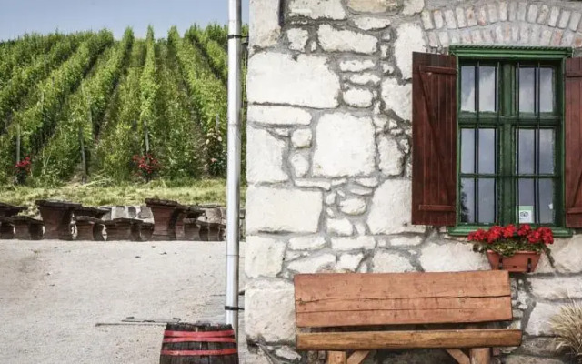 Bike & Wine Cottage