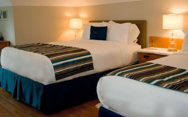 Shamrock Suites