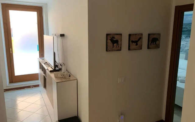Casa Magenta Apartments