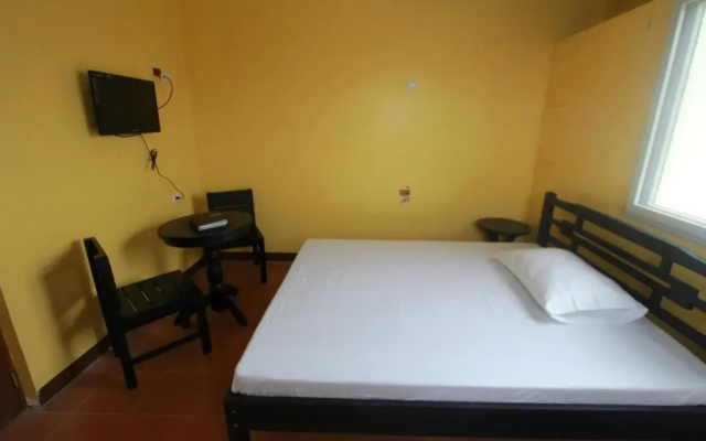 D-Zone Backpackers Inn - Hostel