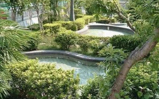 White Cloud Hot Spring Farm Stay