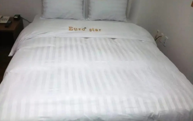 Euro Star Hotel