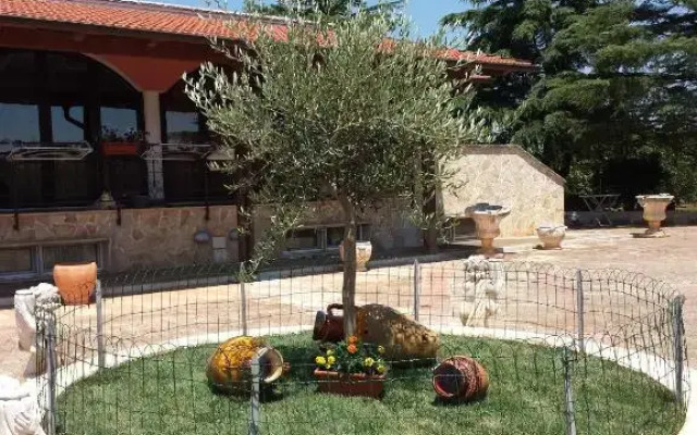 Piccolo Ulivo 1+2