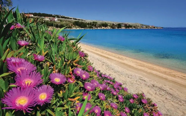 Beautiful Apartment in Pag With 1 Bedrooms